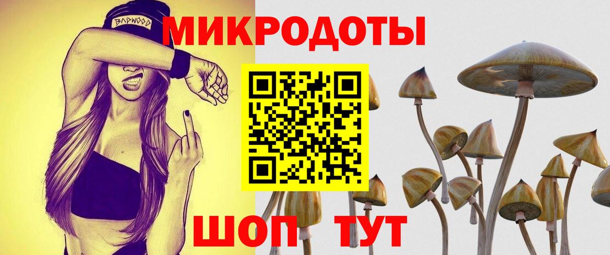 Псилоцибиновые грибы GOLDEN TEACHER Набережные Челны
